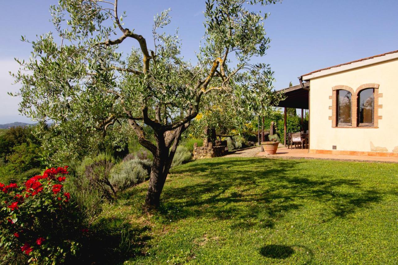Agriturismo Poggio Pistolese Montaione Dış mekan fotoğraf