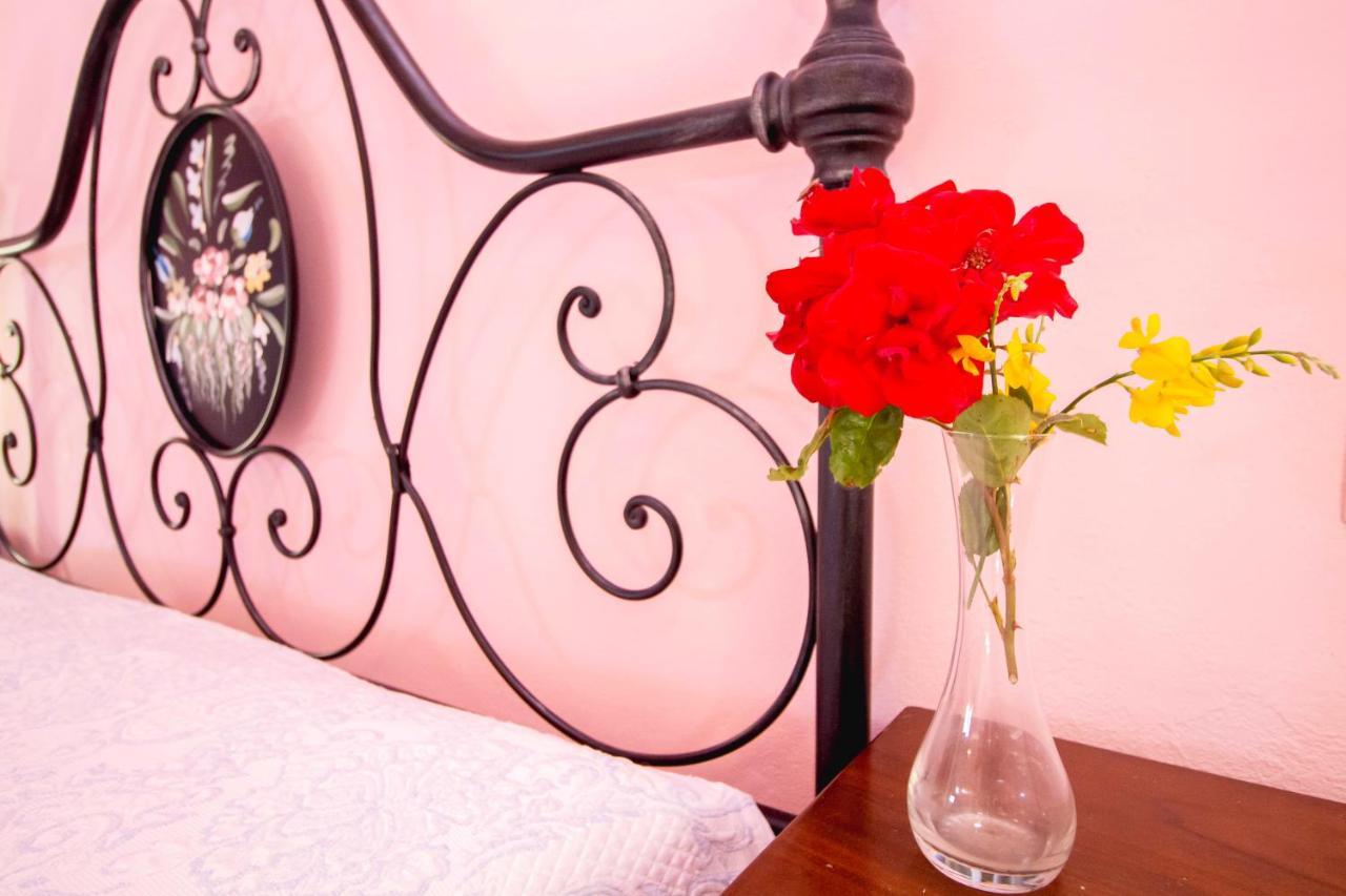 Agriturismo Poggio Pistolese Montaione Dış mekan fotoğraf