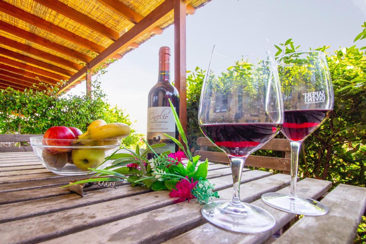 Agriturismo Poggio Pistolese Montaione Dış mekan fotoğraf