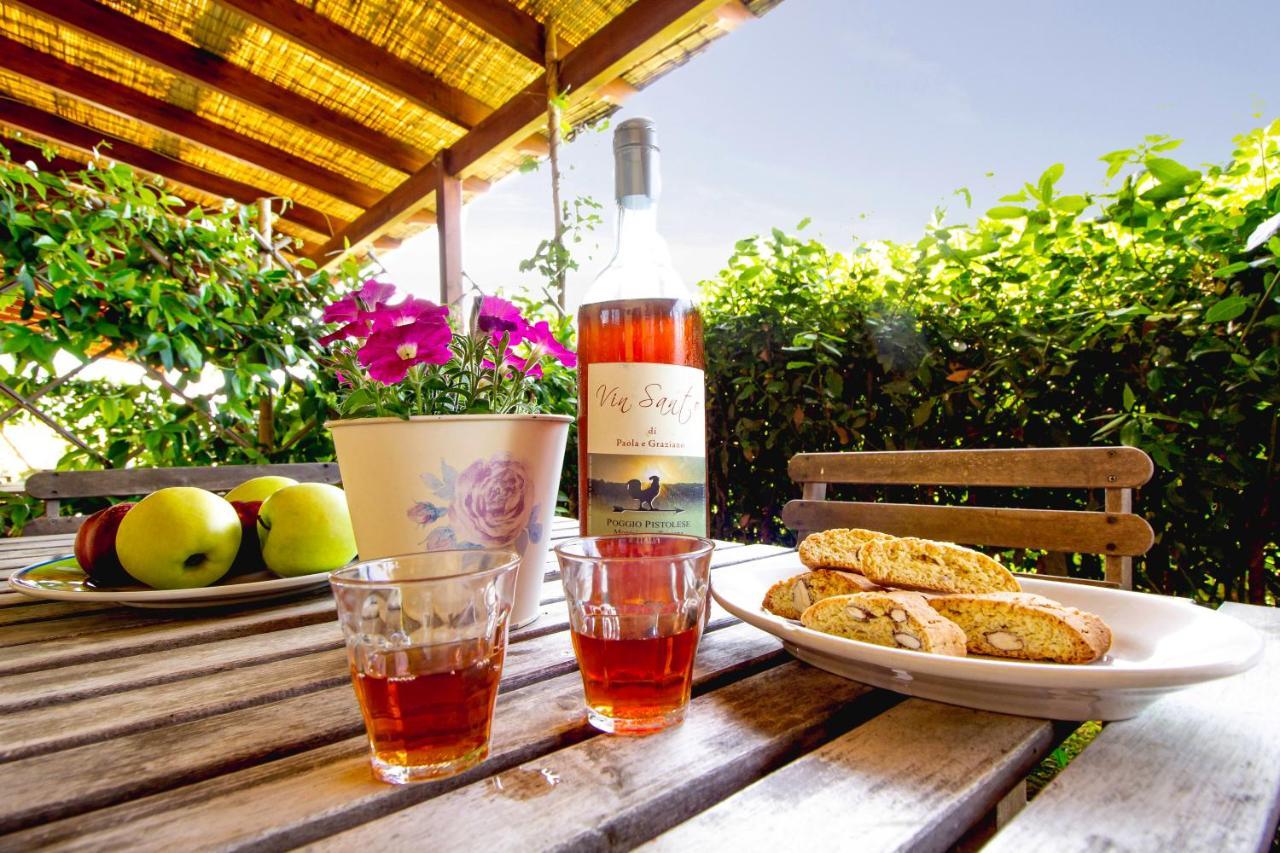 Agriturismo Poggio Pistolese Montaione Dış mekan fotoğraf