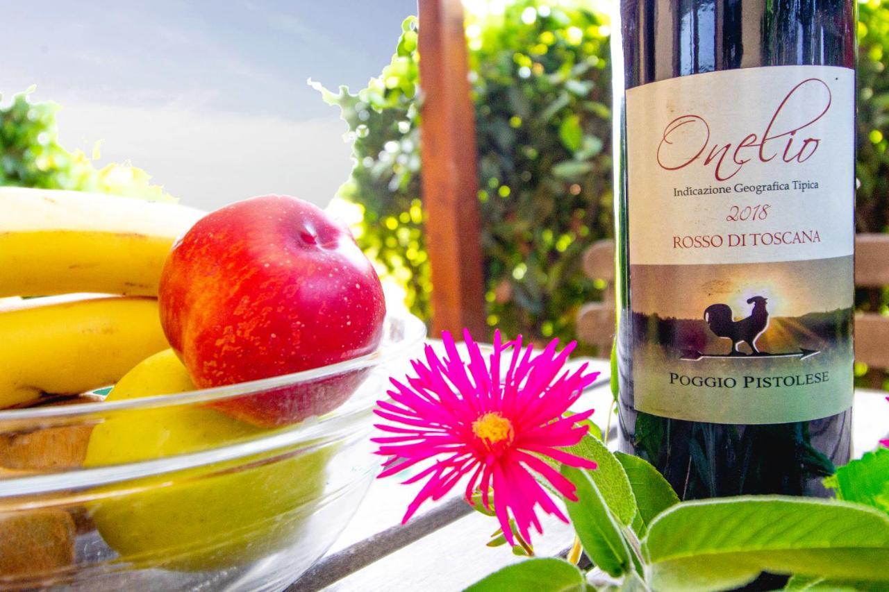 Agriturismo Poggio Pistolese Montaione Dış mekan fotoğraf